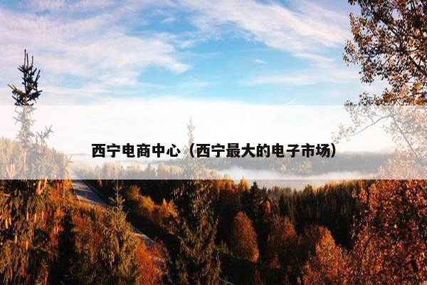 西宁电商中心（西宁最大的电子市场）