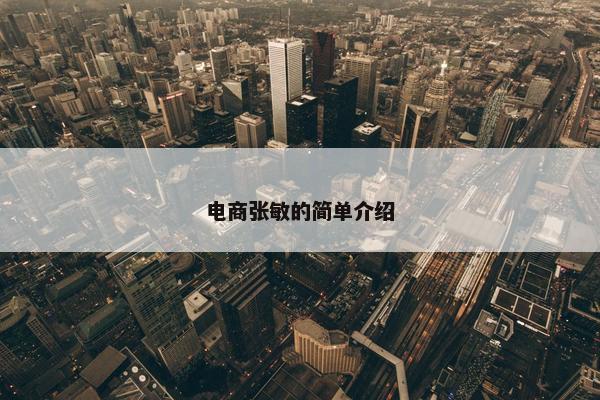 电商张敏的简单介绍
