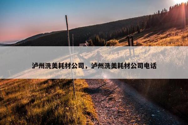 泸州洗美耗材公司，泸州洗美耗材公司电话