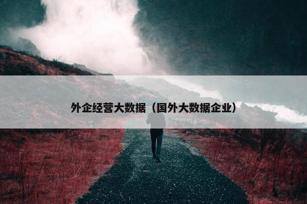 外企经营大数据（国外大数据企业）
