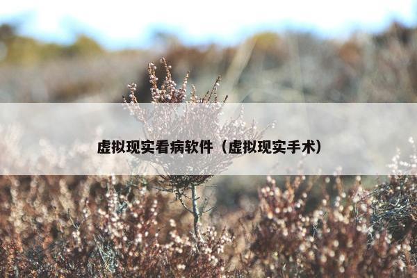 虚拟现实看病软件（虚拟现实手术）