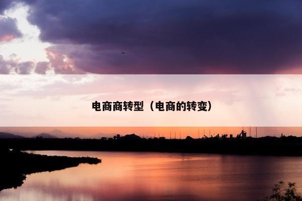 电商商转型（电商的转变）