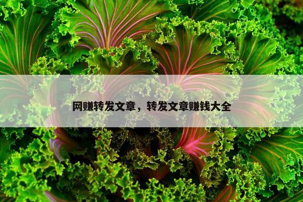 网赚转发文章，转发文章赚钱大全