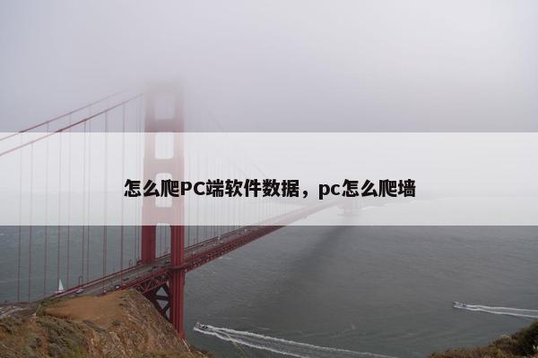怎么爬PC端软件数据，pc怎么爬墙
