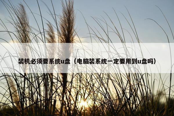 装机必须要系统u盘（电脑装系统一定要用到u盘吗）