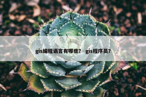 gis编程语言有哪些？ gis程序员？