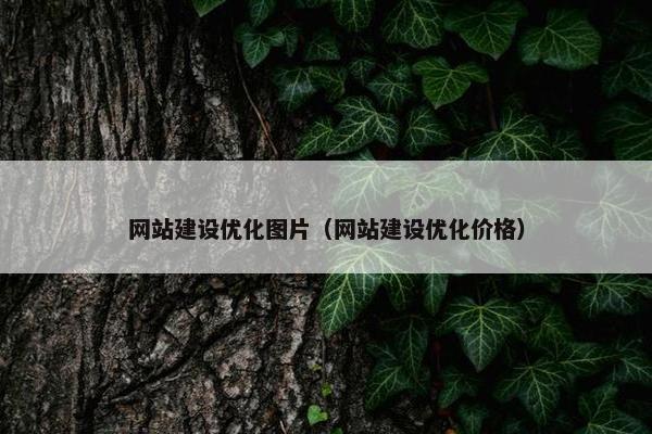 网站建设优化图片（网站建设优化价格）