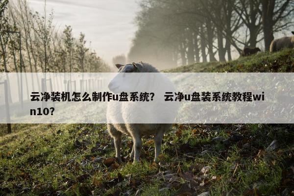 云净装机怎么制作u盘系统？ 云净u盘装系统教程win10？
