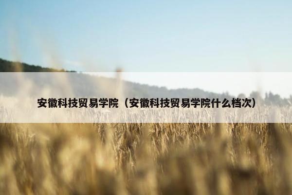安徽科技贸易学院（安徽科技贸易学院什么档次）