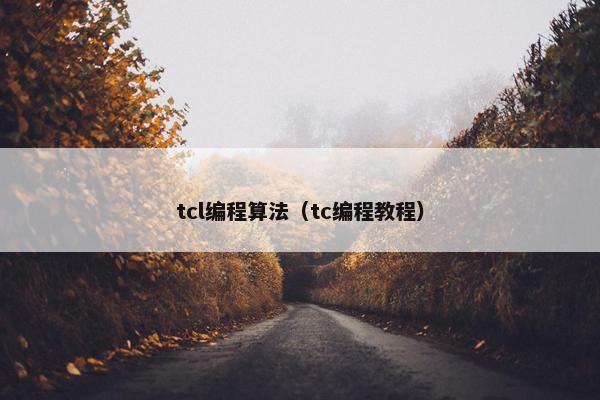 tcl编程算法（tc编程教程）