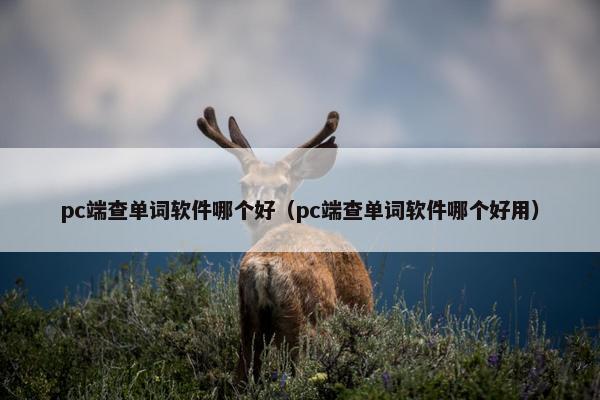 pc端查单词软件哪个好（pc端查单词软件哪个好用）