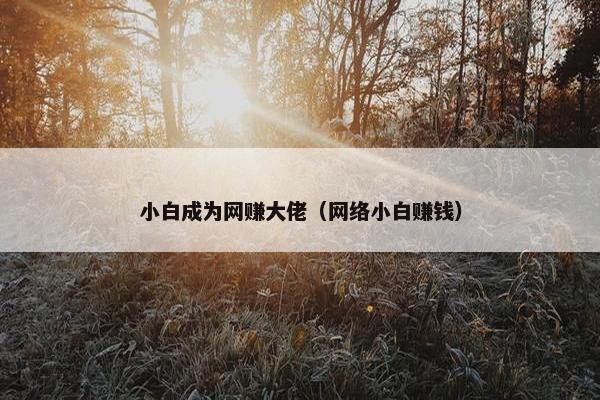 小白成为网赚大佬（网络小白赚钱）