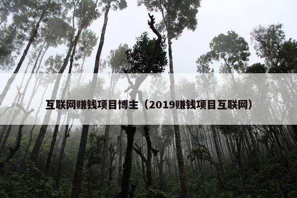 互联网赚钱项目博主（2019赚钱项目互联网）