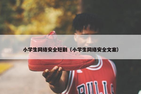 小学生网络安全短剧（小学生网络安全文案）