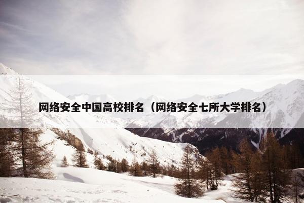 网络安全中国高校排名（网络安全七所大学排名）