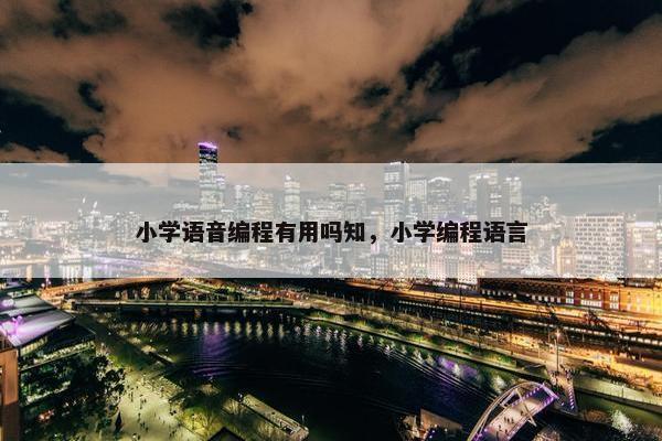 小学语音编程有用吗知，小学编程语言