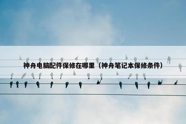 神舟电脑配件保修在哪里（神舟笔记本保修条件）
