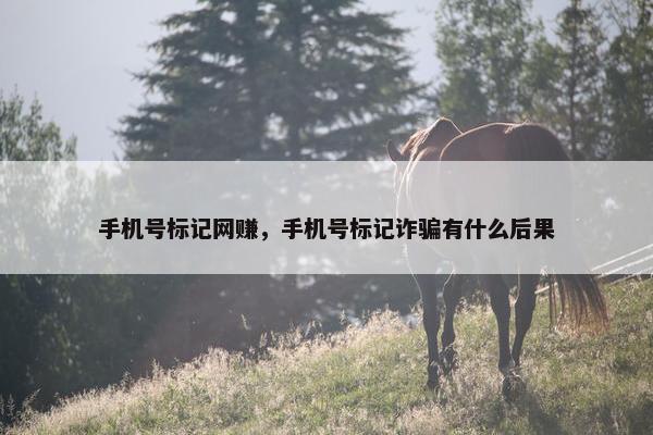 手机号标记网赚，手机号标记诈骗有什么后果