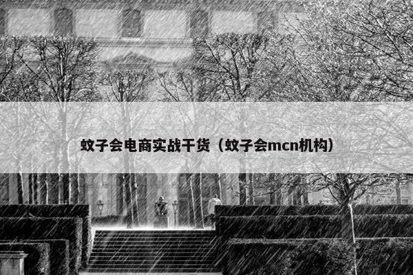 蚊子会电商实战干货（蚊子会mcn机构）