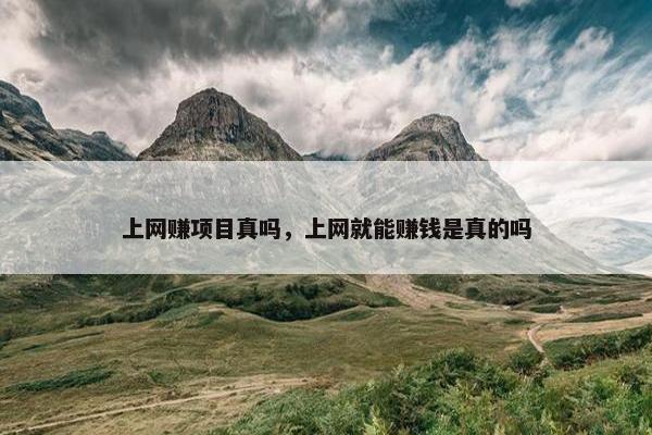 上网赚项目真吗，上网就能赚钱是真的吗