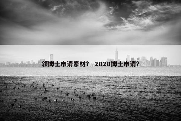 领博士申请素材？ 2020博士申请？