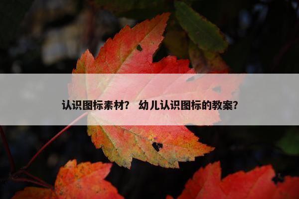 认识图标素材？ 幼儿认识图标的教案？