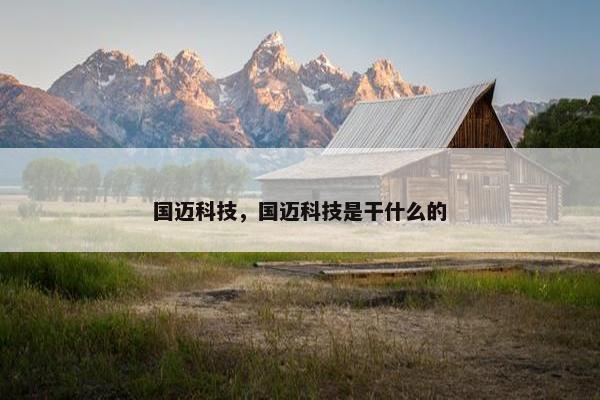 国迈科技，国迈科技是干什么的