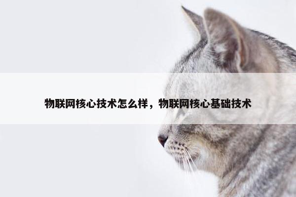 物联网核心技术怎么样，物联网核心基础技术