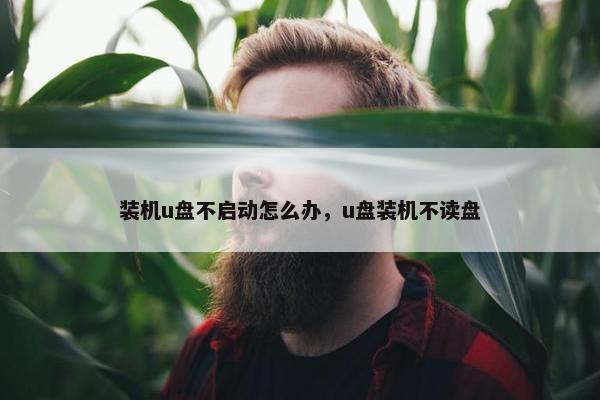 装机u盘不启动怎么办，u盘装机不读盘