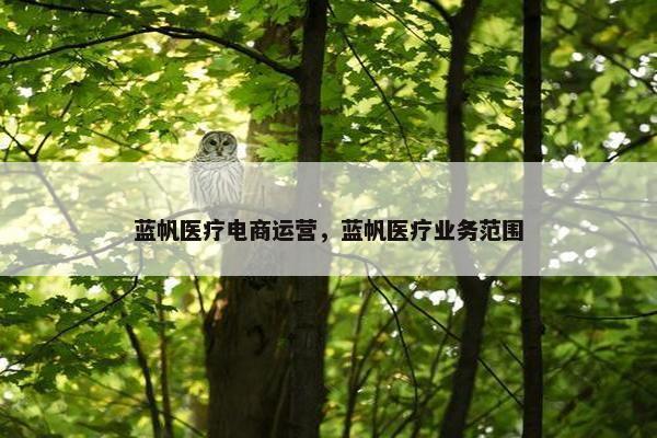 蓝帆医疗电商运营，蓝帆医疗业务范围