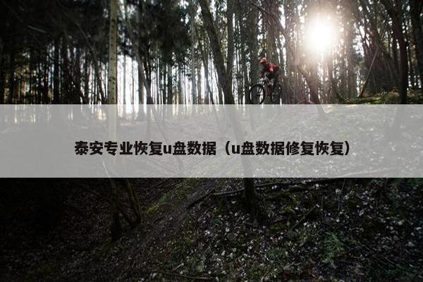 泰安专业恢复u盘数据（u盘数据修复恢复）