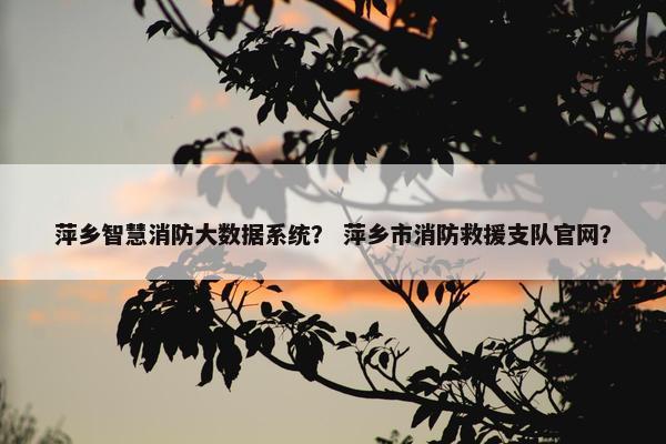 萍乡智慧消防大数据系统？ 萍乡市消防救援支队官网？