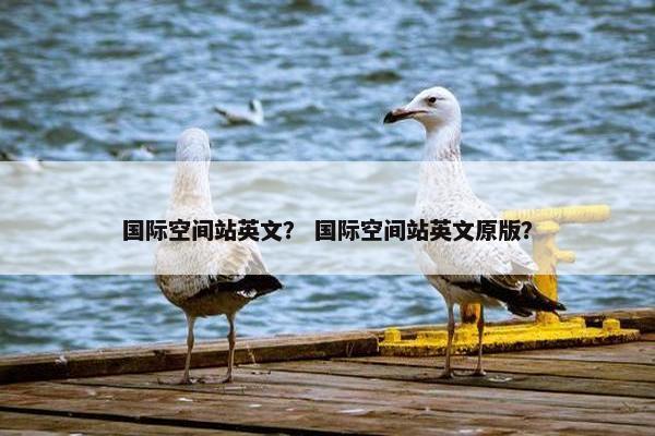 国际空间站英文？ 国际空间站英文原版？