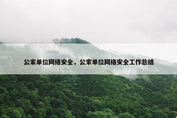 公家单位网络安全，公家单位网络安全工作总结
