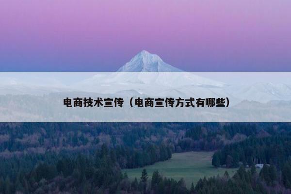 电商技术宣传（电商宣传方式有哪些）