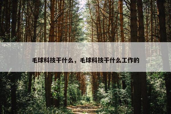 毛球科技干什么，毛球科技干什么工作的