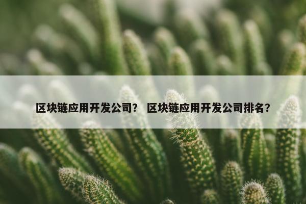 区块链应用开发公司？ 区块链应用开发公司排名？