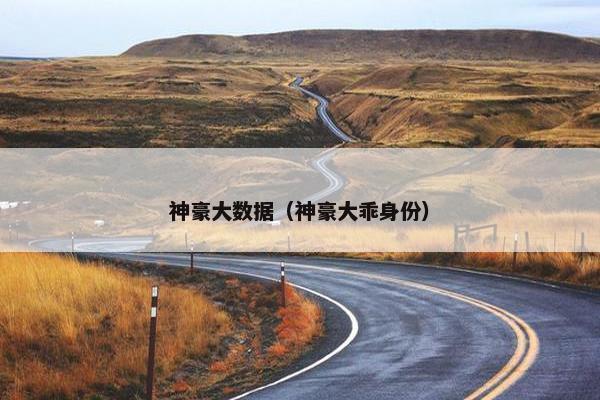 神豪大数据（神豪大乖身份）