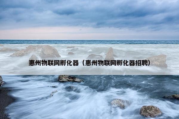 惠州物联网孵化器（惠州物联网孵化器招聘）