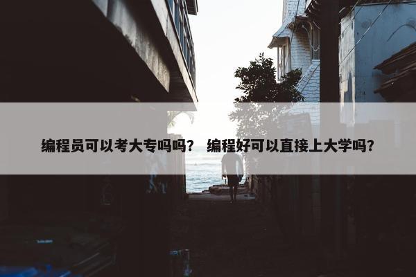 编程员可以考大专吗吗？ 编程好可以直接上大学吗？