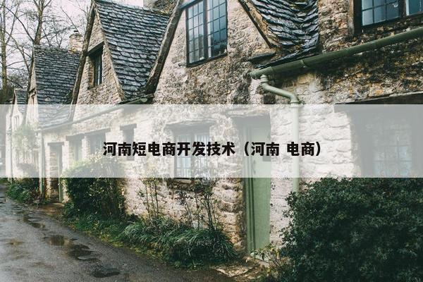河南短电商开发技术（河南 电商）