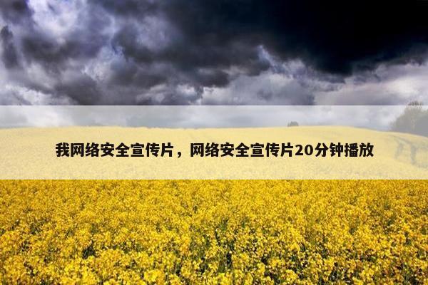 我网络安全宣传片，网络安全宣传片20分钟播放