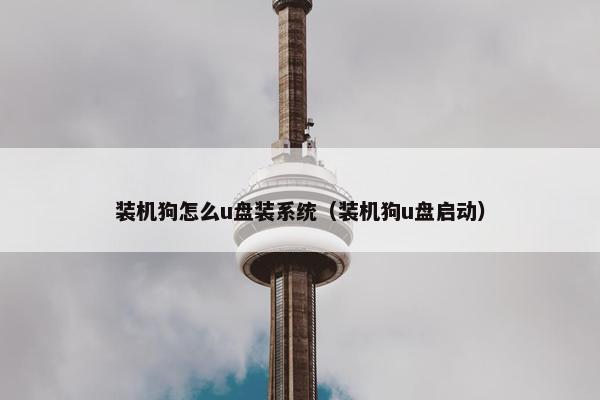 装机狗怎么u盘装系统（装机狗u盘启动）