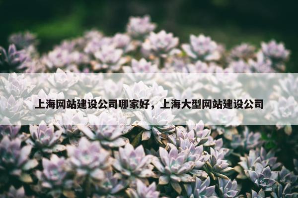 上海网站建设公司哪家好，上海大型网站建设公司