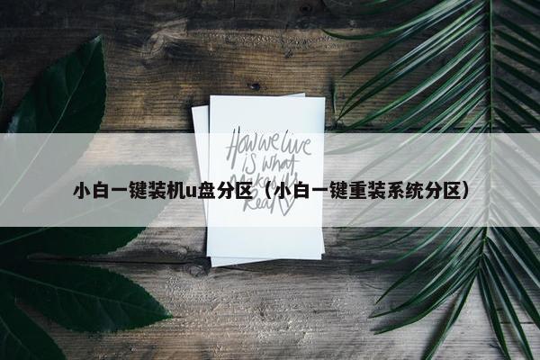小白一键装机u盘分区（小白一键重装系统分区）