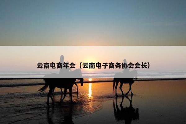 云南电商年会（云南电子商务协会会长）