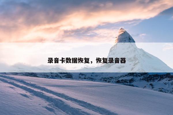录音卡数据恢复，恢复录音器