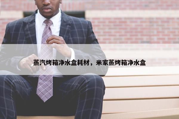 蒸汽烤箱净水盒耗材，米家蒸烤箱净水盒