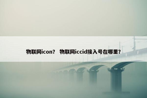 物联网icon？ 物联网iccid接入号在哪里？