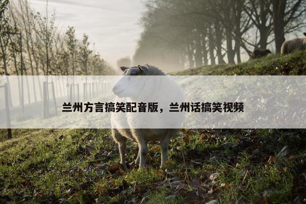 兰州方言搞笑配音版，兰州话搞笑视频